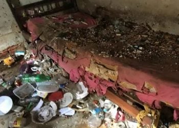 Mulher é retirada de casa com mais de 100 ratos e três toneladas de lixo, em BH-fronteiralivre