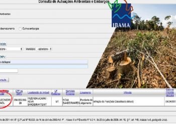 Documento do Ibama registra autuação de Xavier Dallagnol. (Fonte: Ibama)