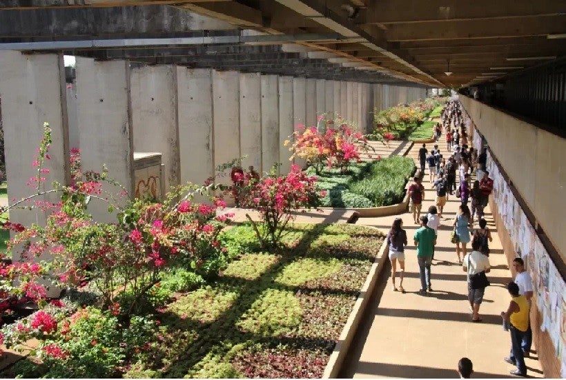 Universidade de Brasília: uma das universidades alvo de cortes é a UNB (Universidade de Brasília (UNB)/Facebook)