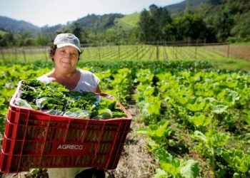 Mulheres no Brasil, culturalmente, são responsáveis por guardar e repassar a filhos e filhas os saberes ancestrais sobre alimentação e bem-estar familiar - Foto: Arquivo / MDA