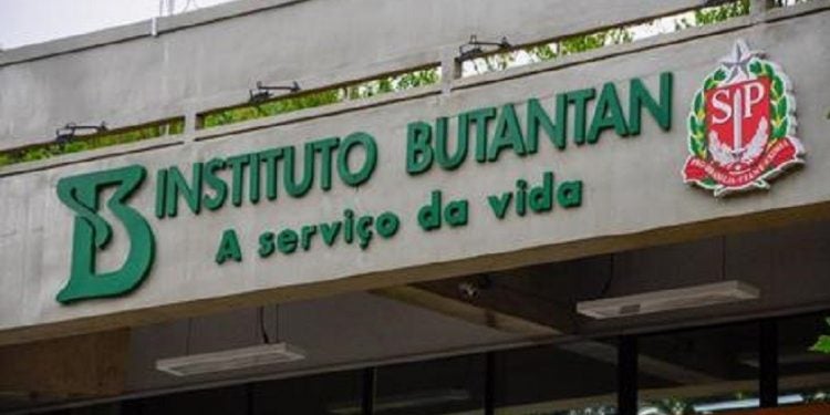 Crédito: Reprodução/Divulgação