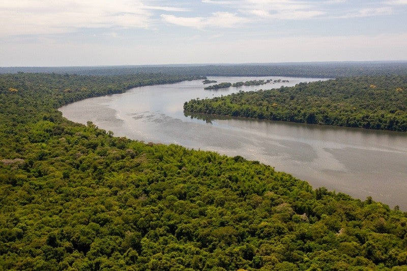 Parque Nacional do Iguaçu - Foto: Bruno Bimbato