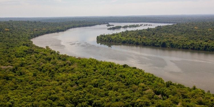 Parque Nacional do Iguaçu - Foto: Bruno Bimbato