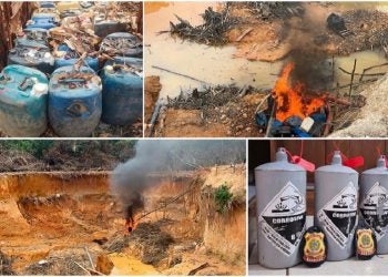 Governo Federal tem ação integrada para apreender e inutilizar patrimônio do crime organizado na área indígena Yanomami. Foto: