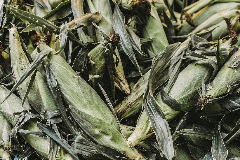 Foto: Daria Shevtsova/Pexels