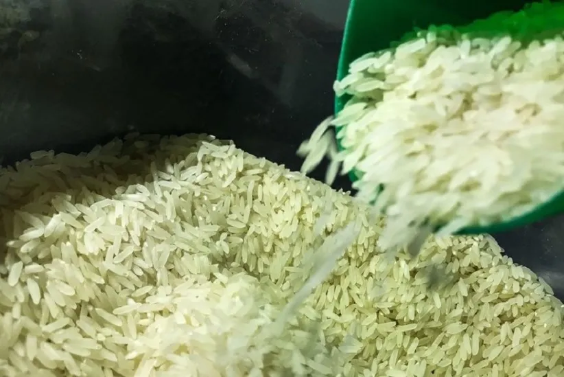 Dois tipos de arroz não parboilizados e um tipo polido/brunido foram incluídos na Lista de Exceções à Tarifa Externa Comum (Letec) - Foto: Marcello Casal Jr/Agência Brasil