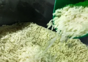 Dois tipos de arroz não parboilizados e um tipo polido/brunido foram incluídos na Lista de Exceções à Tarifa Externa Comum (Letec) - Foto: Marcello Casal Jr/Agência Brasil