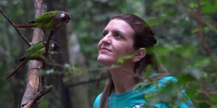 Paloma Bosso, diretora técnica do Parque das Aves (Créditos - Parque das Aves)