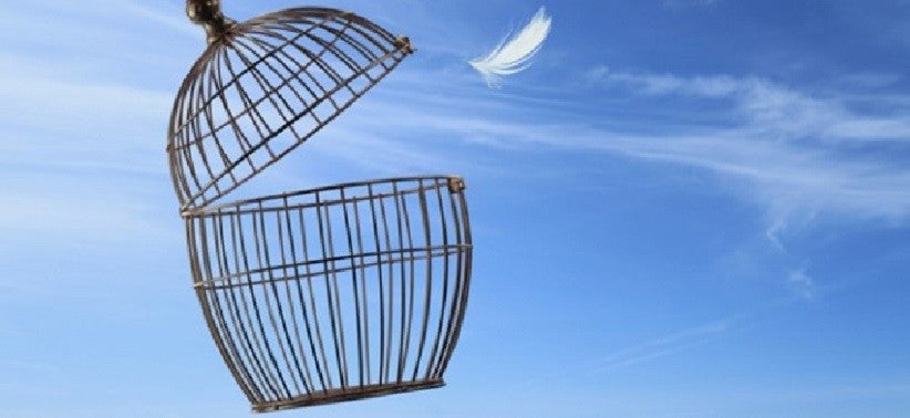 Foto: Viperagq/ Fotolia.com