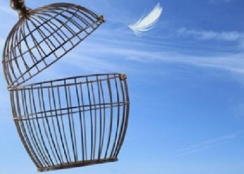 Foto: Viperagq/ Fotolia.com
