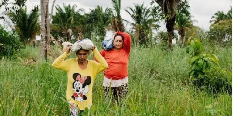 Doña Ivonete y su vecina acarrean los cocos en la cabeza. KRISTIN BETHGE