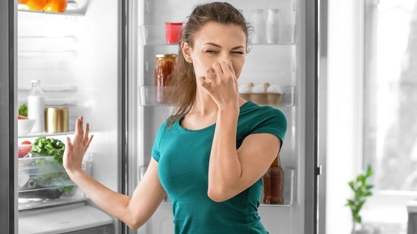 O cheiro ruim costuma ser causado por restos de comida ou alimentos estragados - Shutterstock