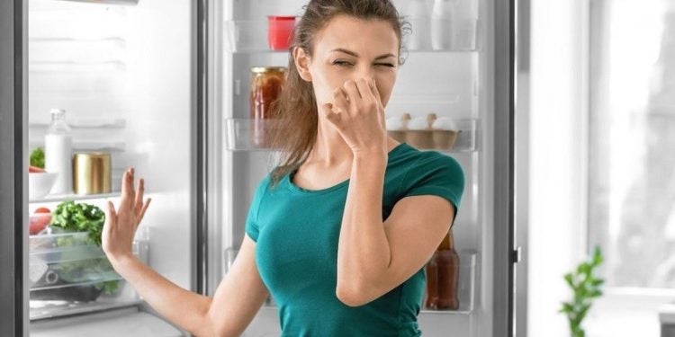 O cheiro ruim costuma ser causado por restos de comida ou alimentos estragados - Shutterstock