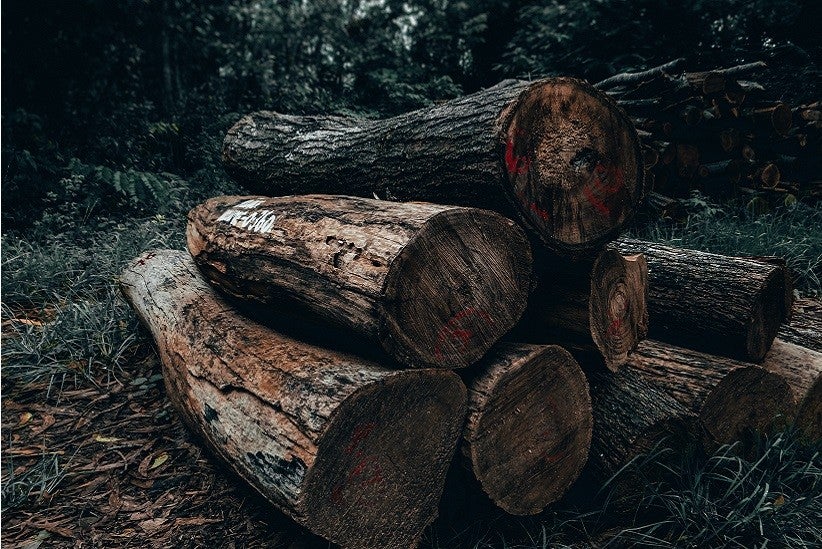 Foto: Sharad Bhat/Pexels