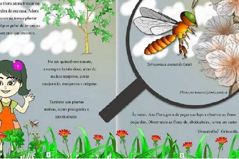 Foto: Reprodução