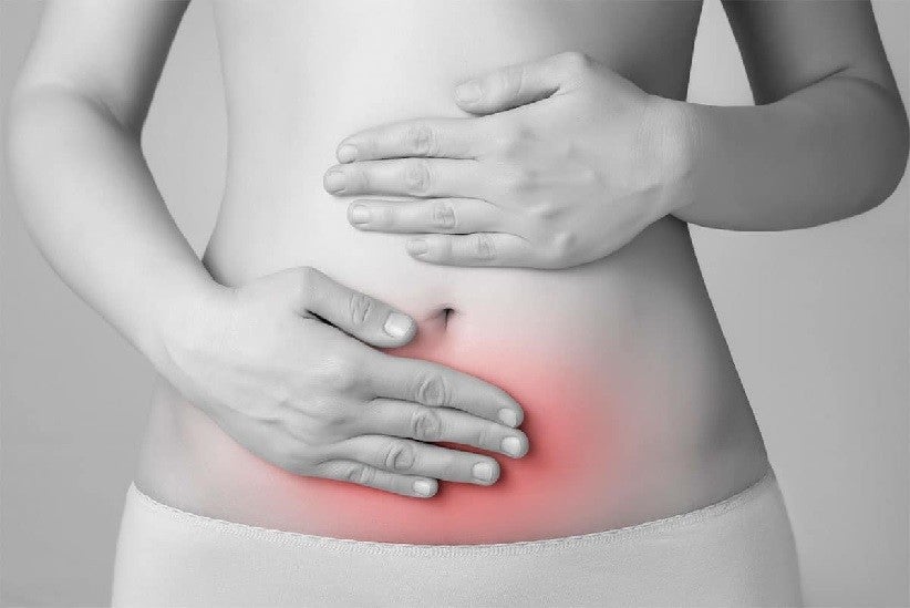 Endometriose afeta cerca de 7 a 10 milhões de brasileiras; doença exige atenção e cuidados com a saúde feminina - Crédito das fotos: Divulgação
