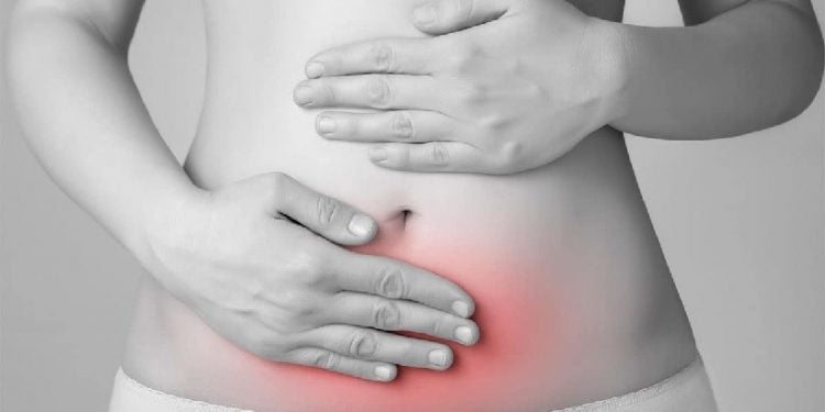 Endometriose afeta cerca de 7 a 10 milhões de brasileiras; doença exige atenção e cuidados com a saúde feminina - Crédito das fotos: Divulgação