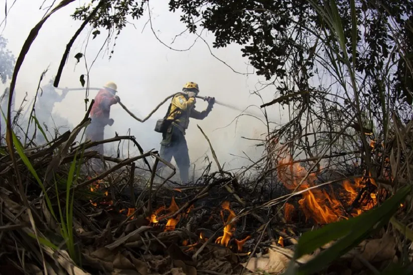 Combate a incêndios na região de Corumbá, no Mato Grosso do Sul. Foto: Fernando Donasci/MMA