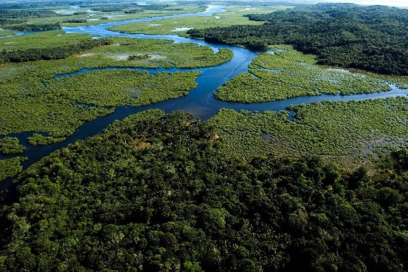 Mata Atlântica - Brasil - Foto: Divulgação