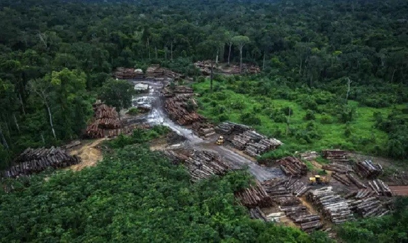 Foto: Reprodução