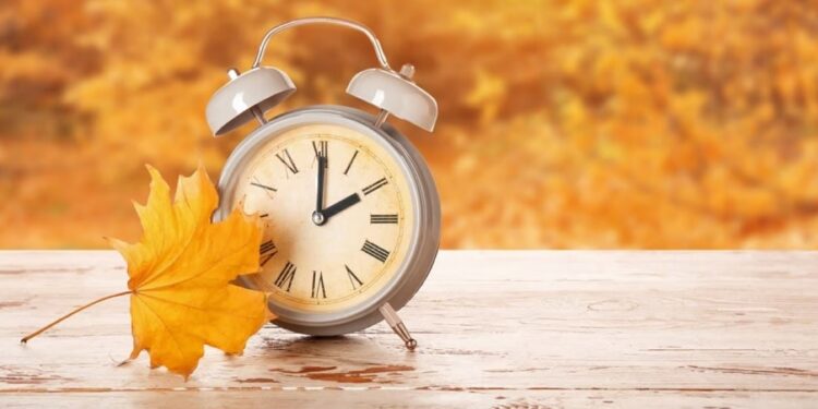 Foto: Pixel-Shot/Shutterstock.com