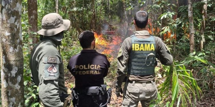 Os dados do Censipam mostram uma redução contínua na abertura de garimpos ao longo de 2024 - Foto: Polícia Federal/Divulgação