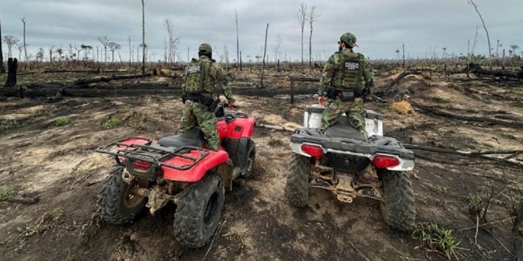 O trabalho de investigação da Polícia Federal inclui o envio de peritos especializados aos locais afetados e o uso de tecnologia avançada para identificar os pontos de origem dos incêndios - Foto: PF/Divulgação