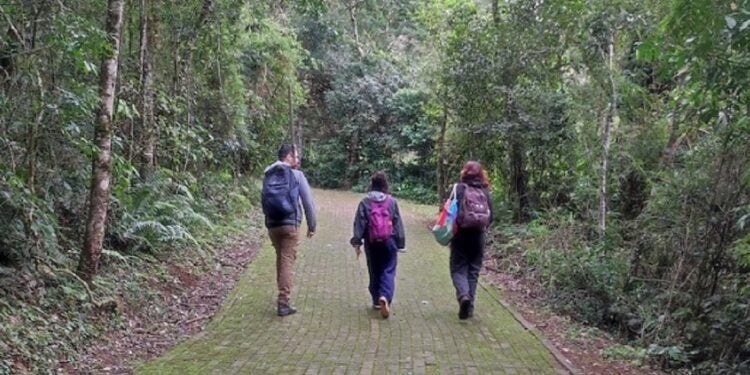 Ana Beatriz Monteiro (dir) durante coleta de material em área de Mata Atlântica de Foz
