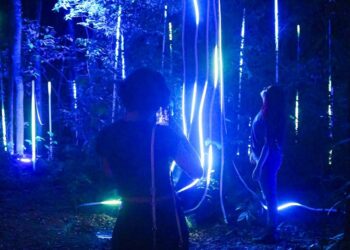Foto: Divulgação/Wonder Park Foz