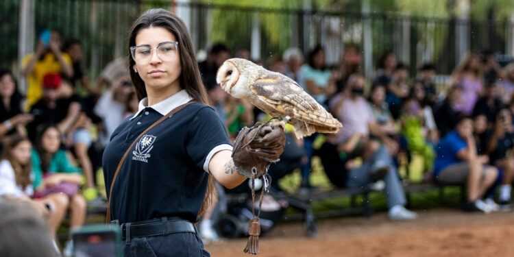 Foto: Divulgação/Dreams Eco Park