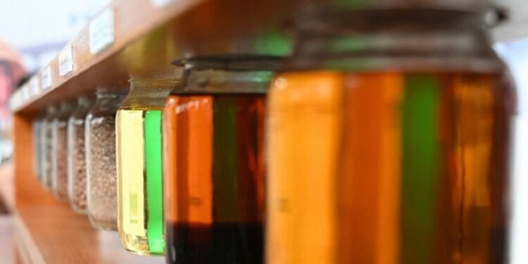 Brasil produziu 77 bilhões de litros de biodiesel, evitando emissão de 240 milhões de toneladas de CO2 e poupando cerca de U$ 38 bilhões em importação