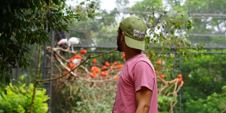 Foto: Divulgação/Parque das Aves