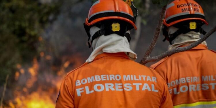 O apoio a Mato Grosso abrange a aquisição de helicóptero e acessórios, capacitação de agentes públicos, sensibilização de comunidades locais e formação de brigadas, ampliando os serviços prestados pela corporação - Foto: Divulgação