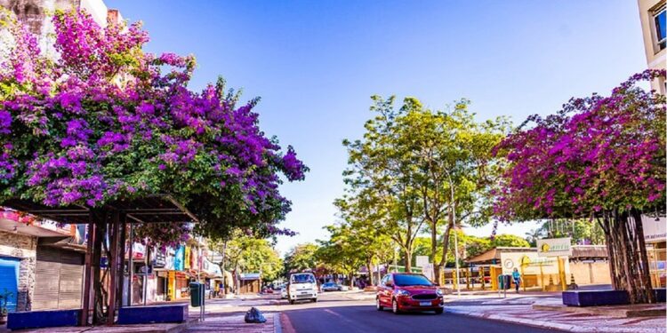 Foto: Divulgação/Prefeitura Municipal de Foz do Iguaçu