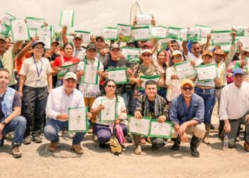 No âmbito do investimento social e do desenvolvimento das mesas redondas de paz, a Agência Nacional de Terras, ANT, titulou mais de 8.150 hectares em San Vicente del Caguán, Caquetá. Foto: ANT
