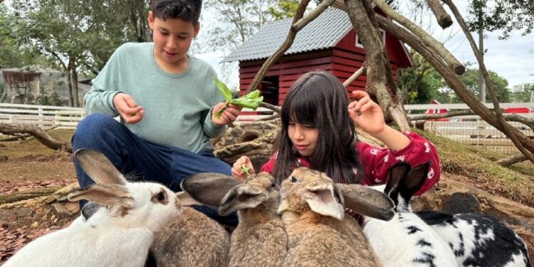 Iniciativa pioneira busca estimular o contato com a fauna e a conscientização ecológica em ambiente seguro e divertido. Foto: Complexo Dreams Park