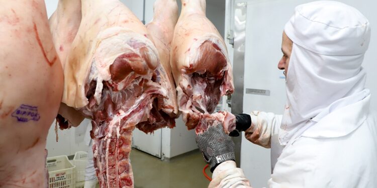 Paraná tem melhor semestre em exportações de suínos com embarque de 110,7 mil toneladas
Foto: Ari Dias/AEN