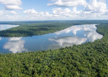 Com a nova proposta, a pesca do Dourado será autorizada nas bacias do Rio Iguaçu e do Atlântico Sudeste. Créditos: Rafael Bertelli/Mandato Goura