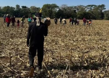 Tekoa Yhovy, aldeia que fica no município de Guaíra (PR)
Foto: Agência Brasil
