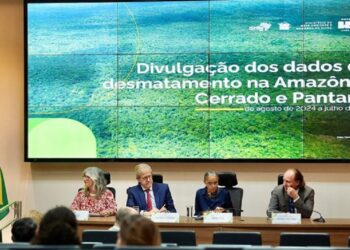 Os dados divulgados pelo Inpe indicam que a área sob alerta no bioma caiu, sinalizando avanço nas ações de preservação em uma região historicamente pressionada pela expansão agropecuária - Foto: Fernando Donasci/MMA