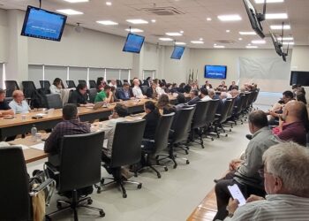 Conselho de Desenvolvimento Econômico é formado de instituições públicas e privada – foto: divulgação