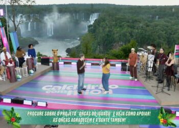 Foto: Divulgação.
