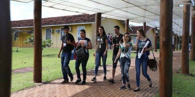 Foto: Divulgação.