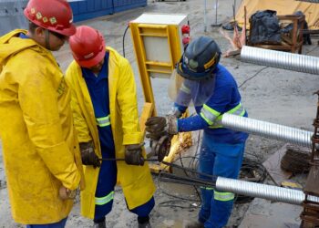Paraná tem 25,9 mil vagas nas Agências do Trabalhador, com destaque para Cascavel e Curitiba
Foto: Ari Dias/AEN