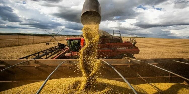 O volume obtido na colheita de grãos na safra 2024/2025 representa uma alta de 16,3% sobre a temporada anterior - Foto: Agência Brasil.