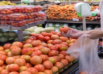 O preço do tomate caiu em 25 das 27 capitais em agosto, com variações entre -26,83%, em Brasília, e -3,13%, em Belém: maior oferta foi responsável pela queda do preço no varejo - Foto: Vitor Vasconcelos / Secom-PR.