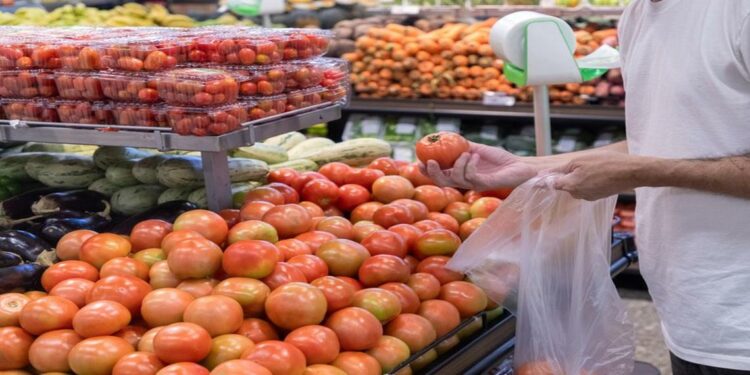 O preço do tomate caiu em 25 das 27 capitais em agosto, com variações entre -26,83%, em Brasília, e -3,13%, em Belém: maior oferta foi responsável pela queda do preço no varejo - Foto: Vitor Vasconcelos / Secom-PR.
