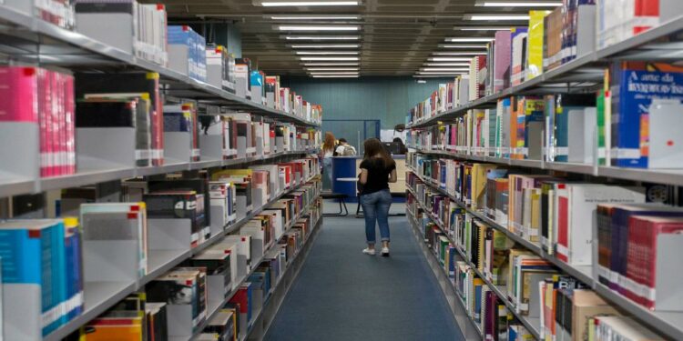 Foto: Divulgação.
