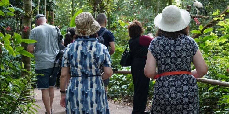 Foto: Parque das Aves.