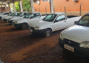 Visitação ocorre em sete municípios; lances abrem no dia 24 às 10h. Foto: SEAP/Divulgação